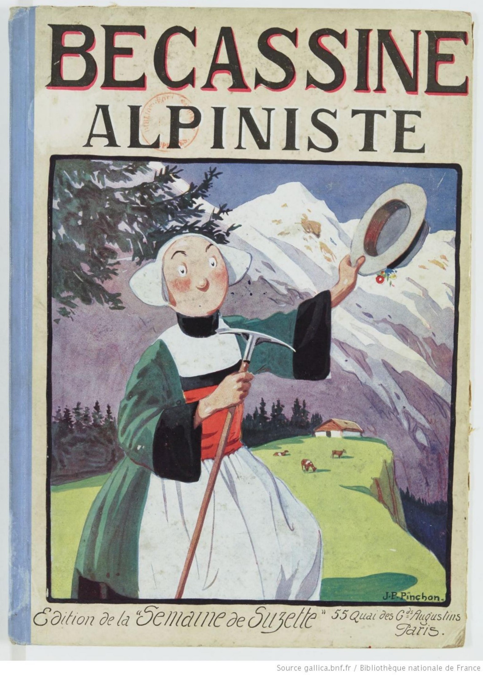 Bécassine alpiniste