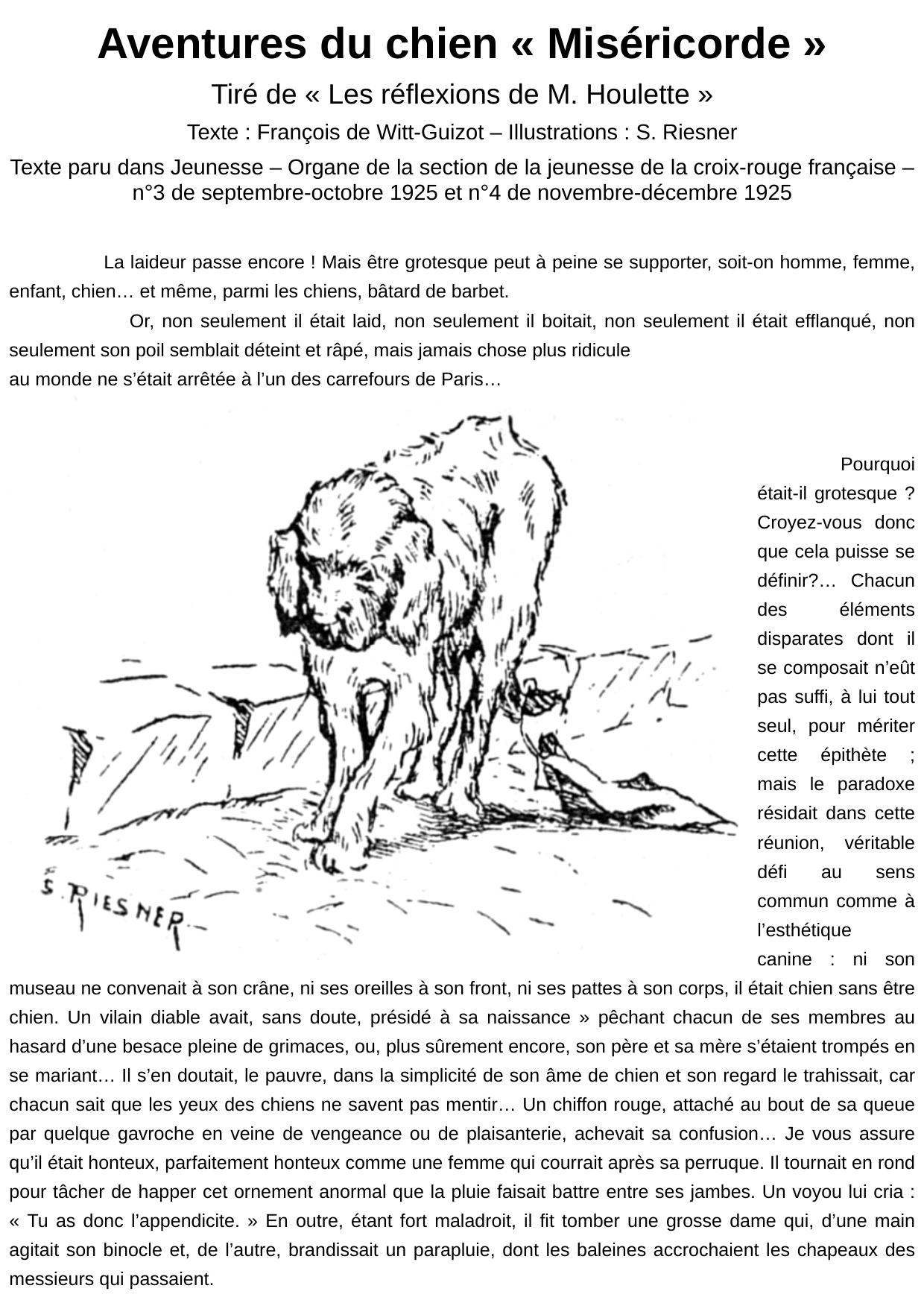 Aventures du chien « Miséricorde »