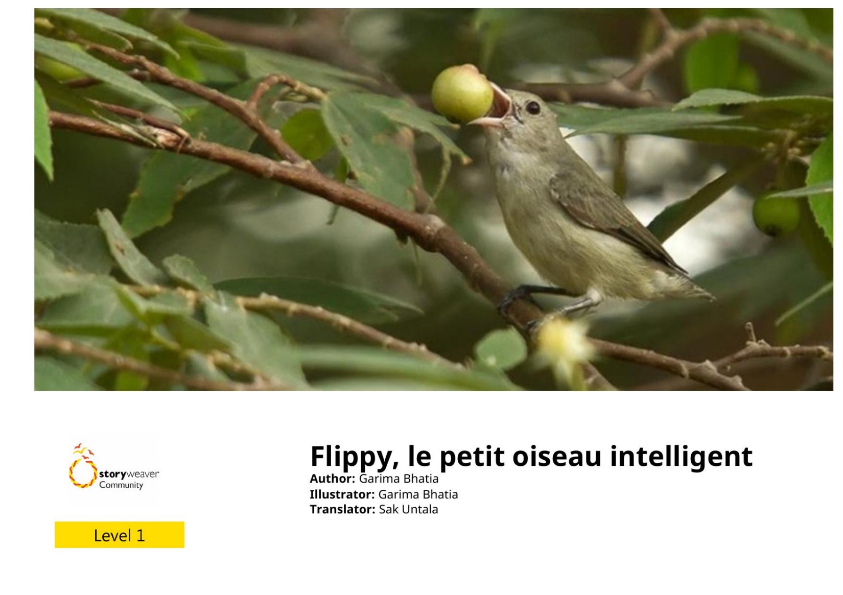 Flippy, le petit oiseau intelligent